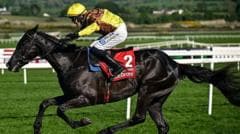 Two-time Gold Cup winner Galopin Des Champs dies days after retiring