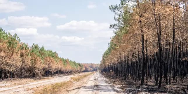 'After a summer of heatwaves and fires, awareness remains low and preparedness is virtually nonexistent'