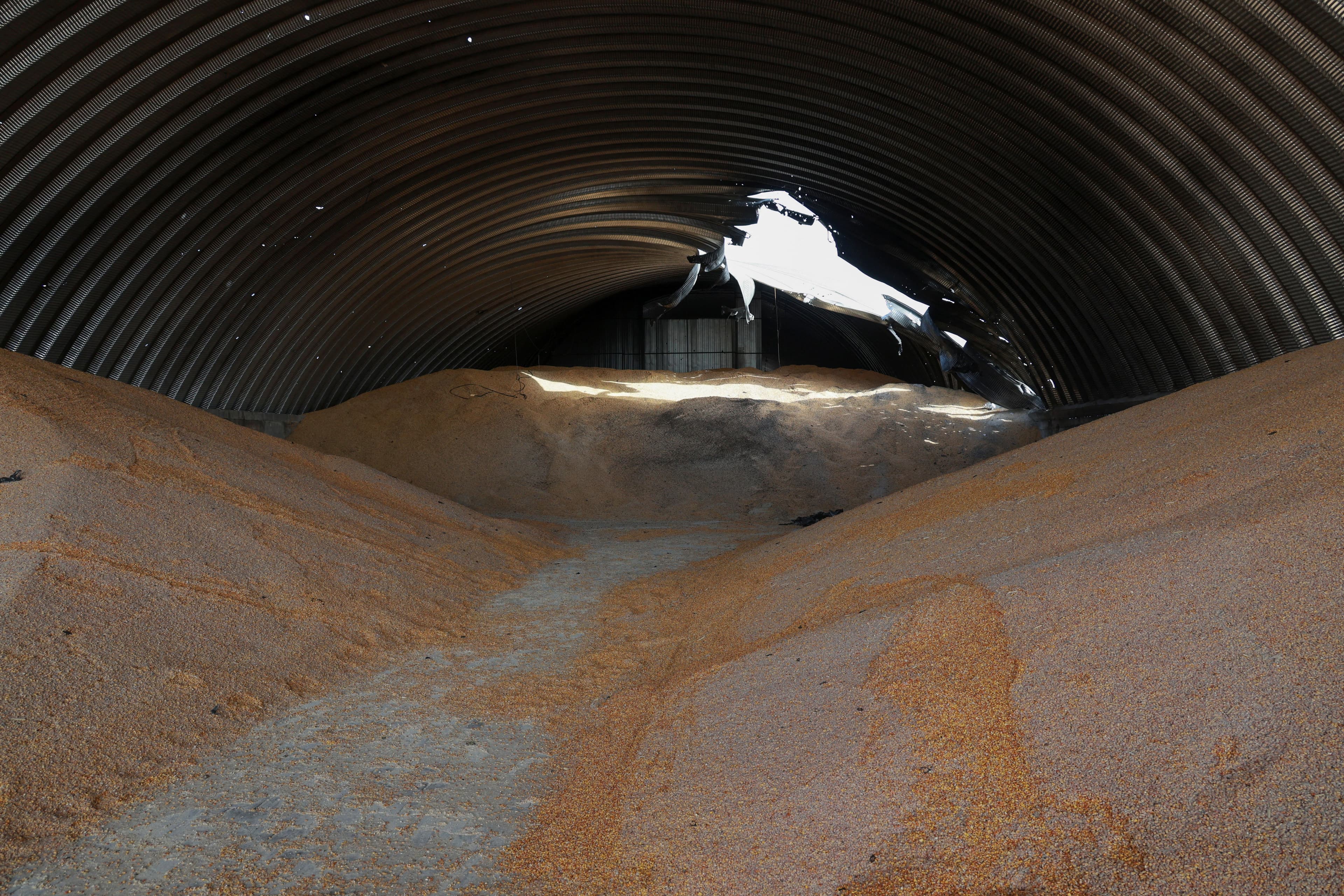 Strikes on Black Sea ports threaten global grain supplies