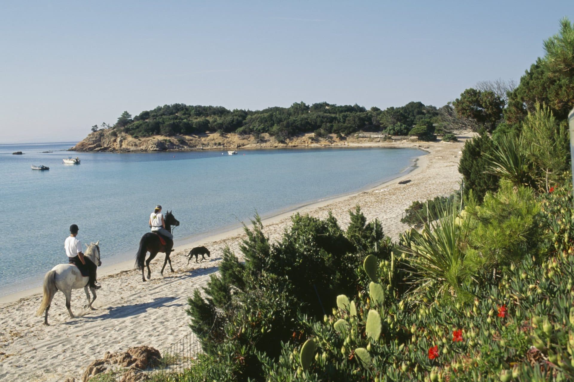 I lived in France for 17 years – these are its seven loveliest islands