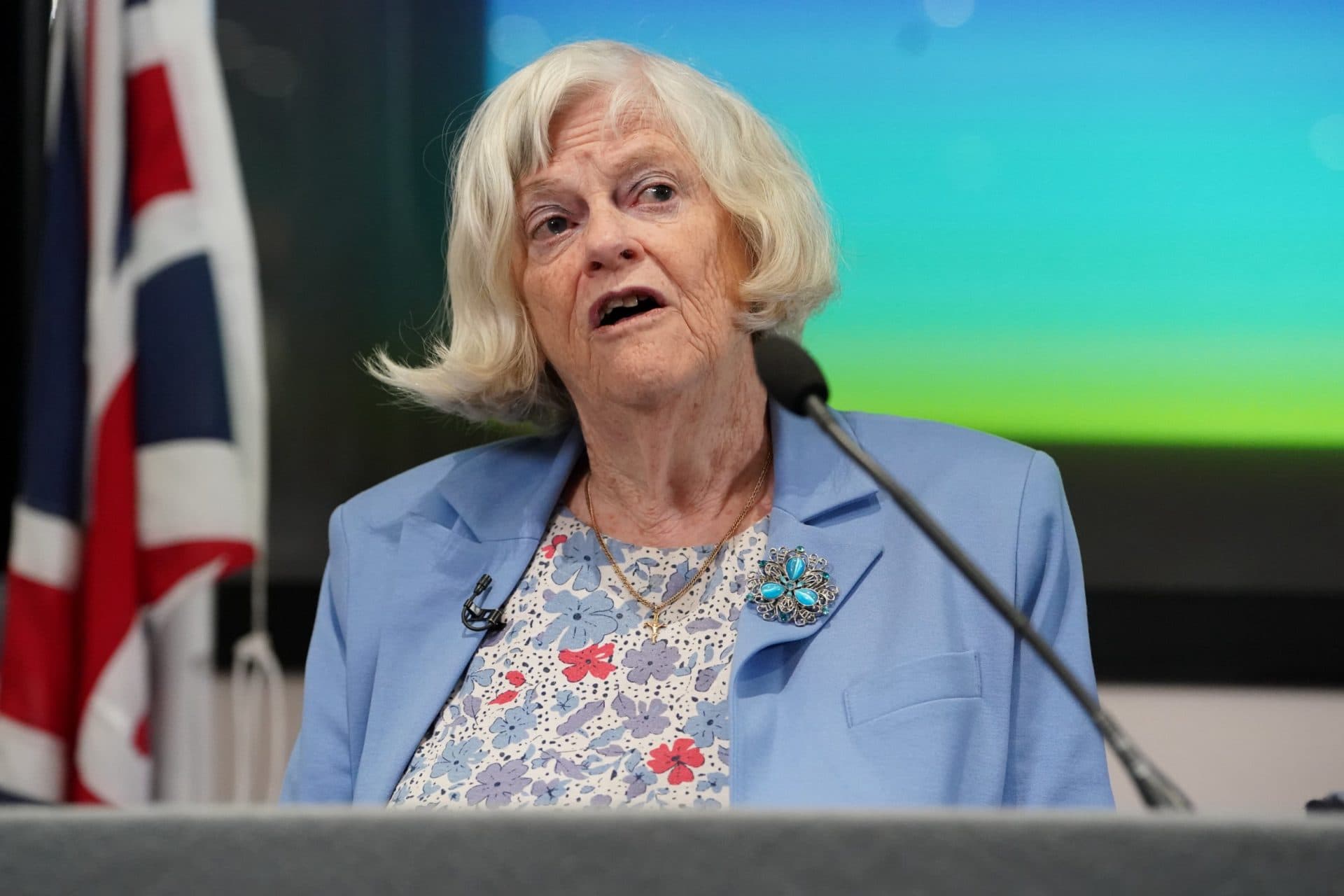 What to know as Widdecombe probe extended into ‘attempted burglary at Farage’s home’