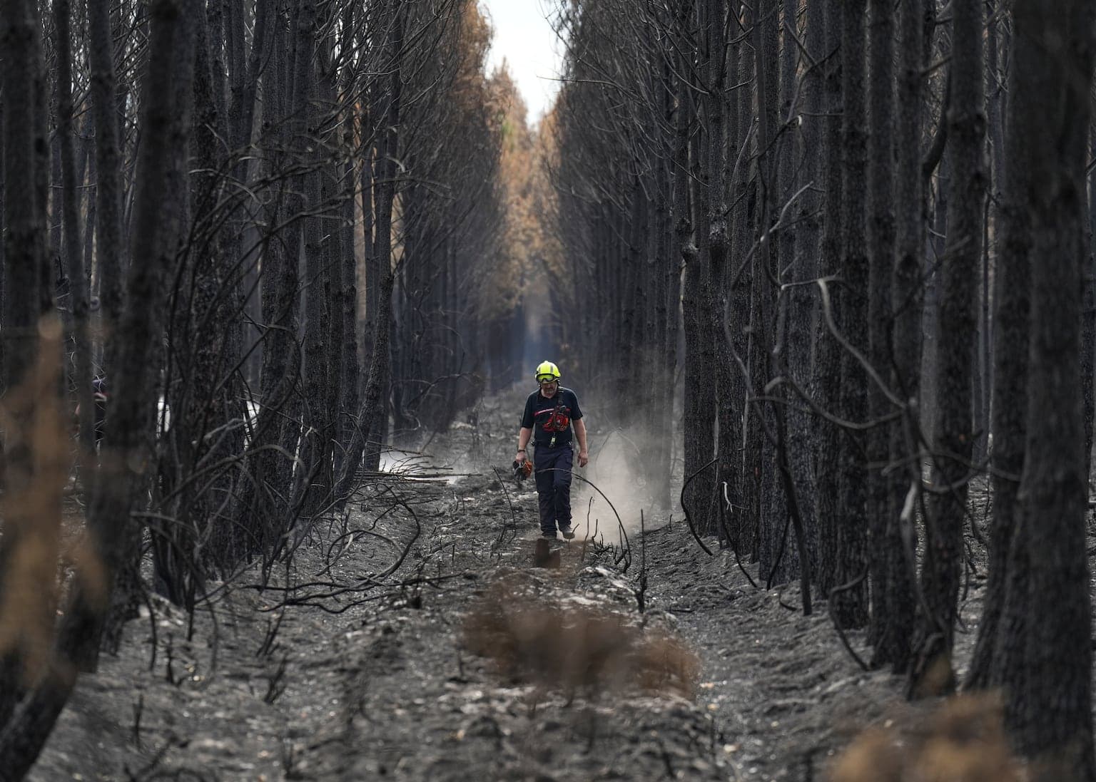 Wildfire near Bordeaux contained as 1,500 firefighters battle blaze in Provence