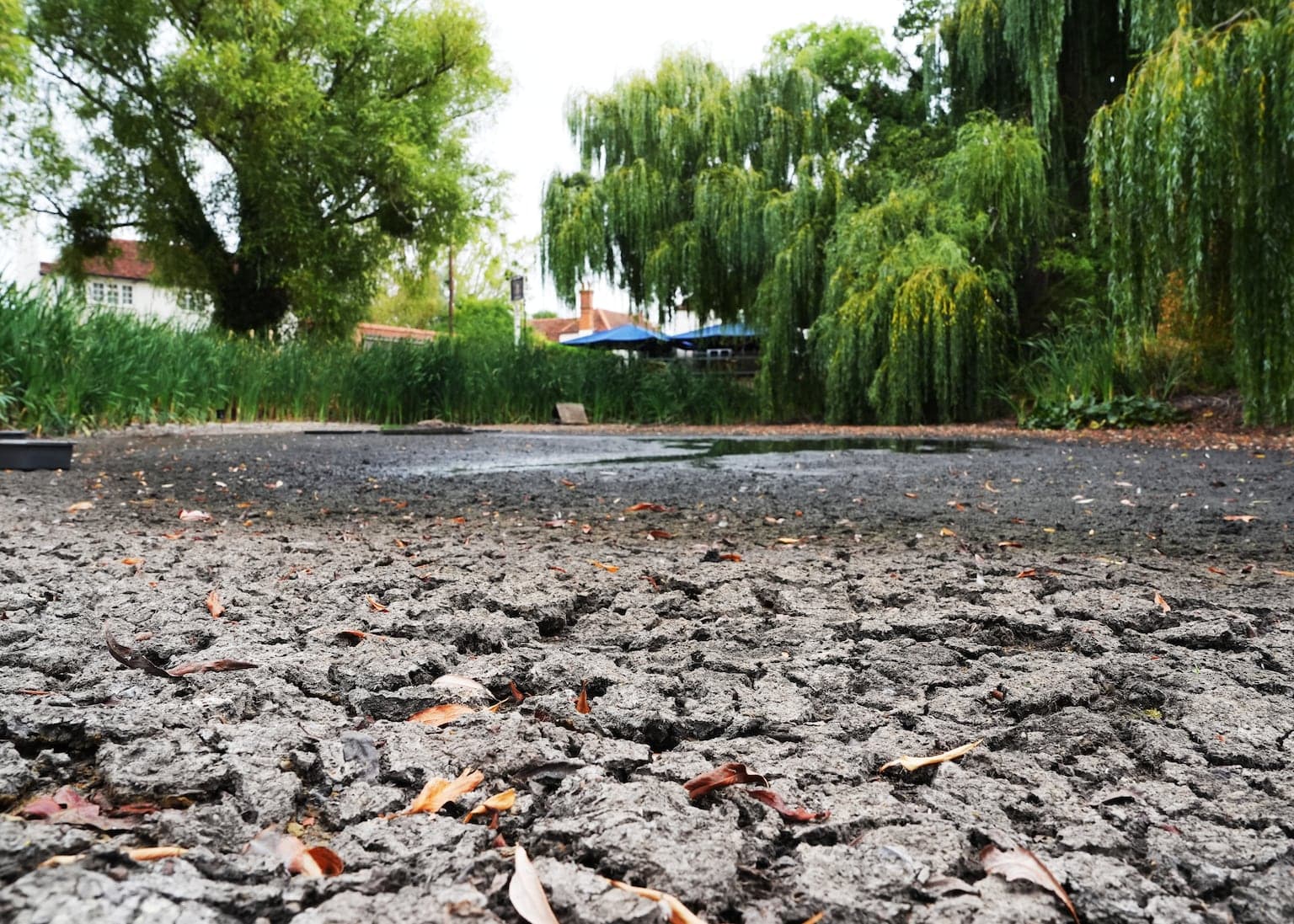 Heavy rain to bring threat of floods after another hosepipe ban announced