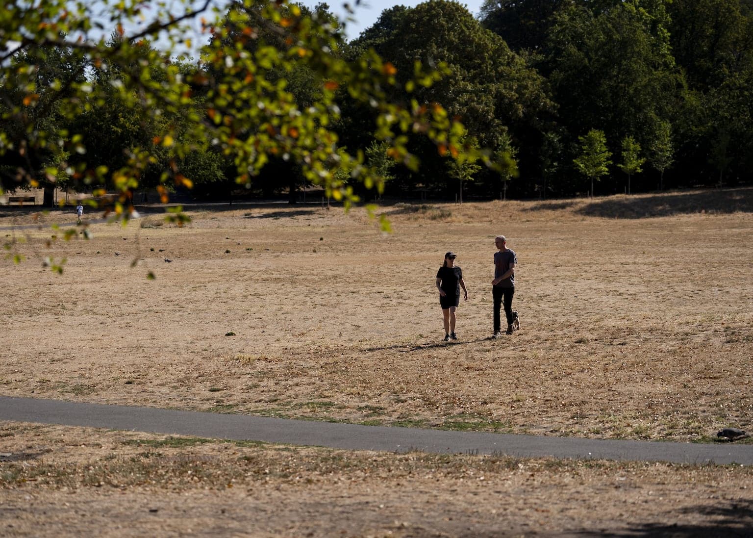 Heat health alerts come into force as fifth heatwave hits UK