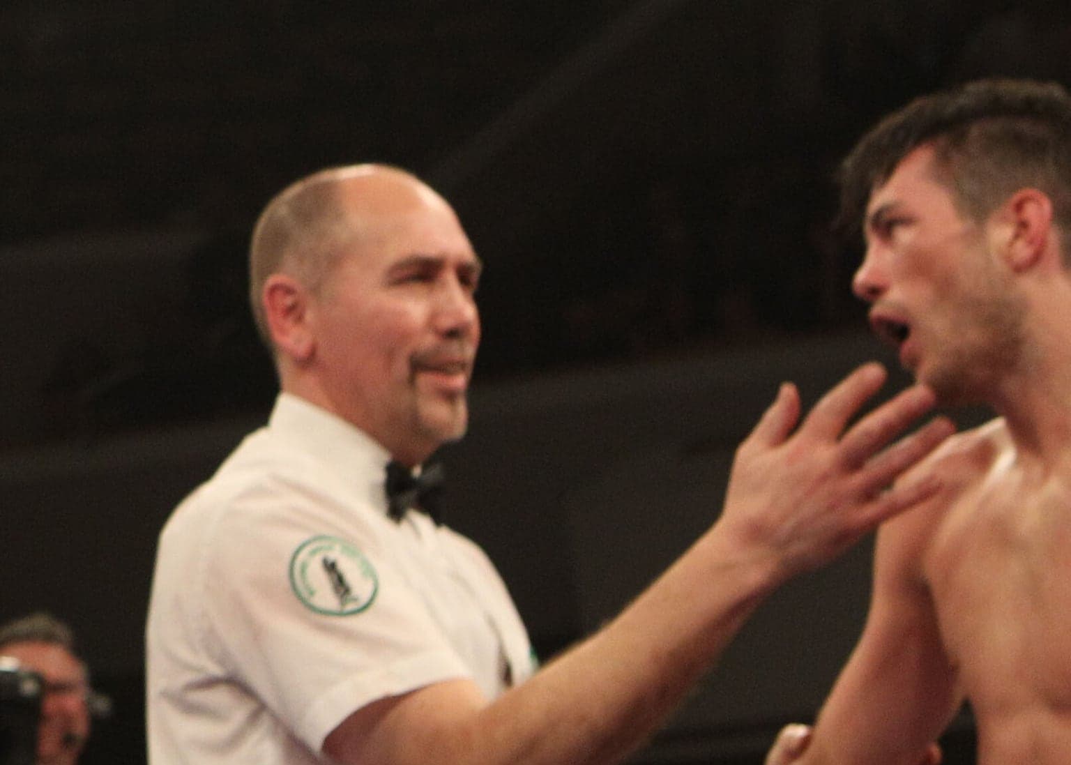 Belfast referee David Irving to take charge of Katie Taylor last dance at Croke Park