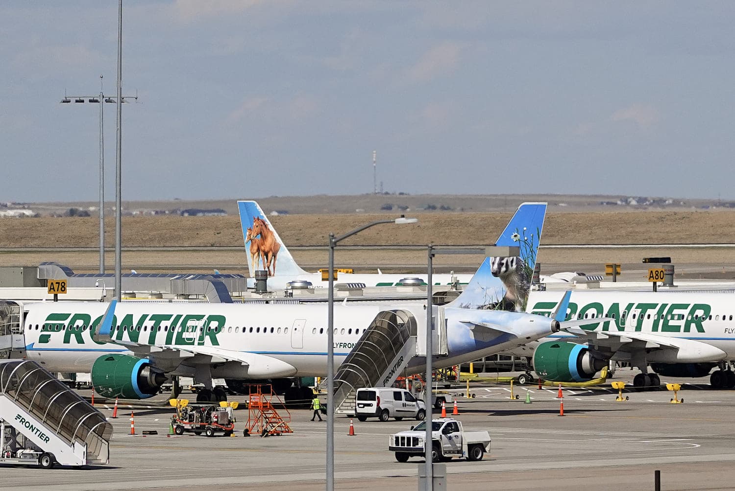 Video shows passenger jet fatally strike person on Denver airport runway