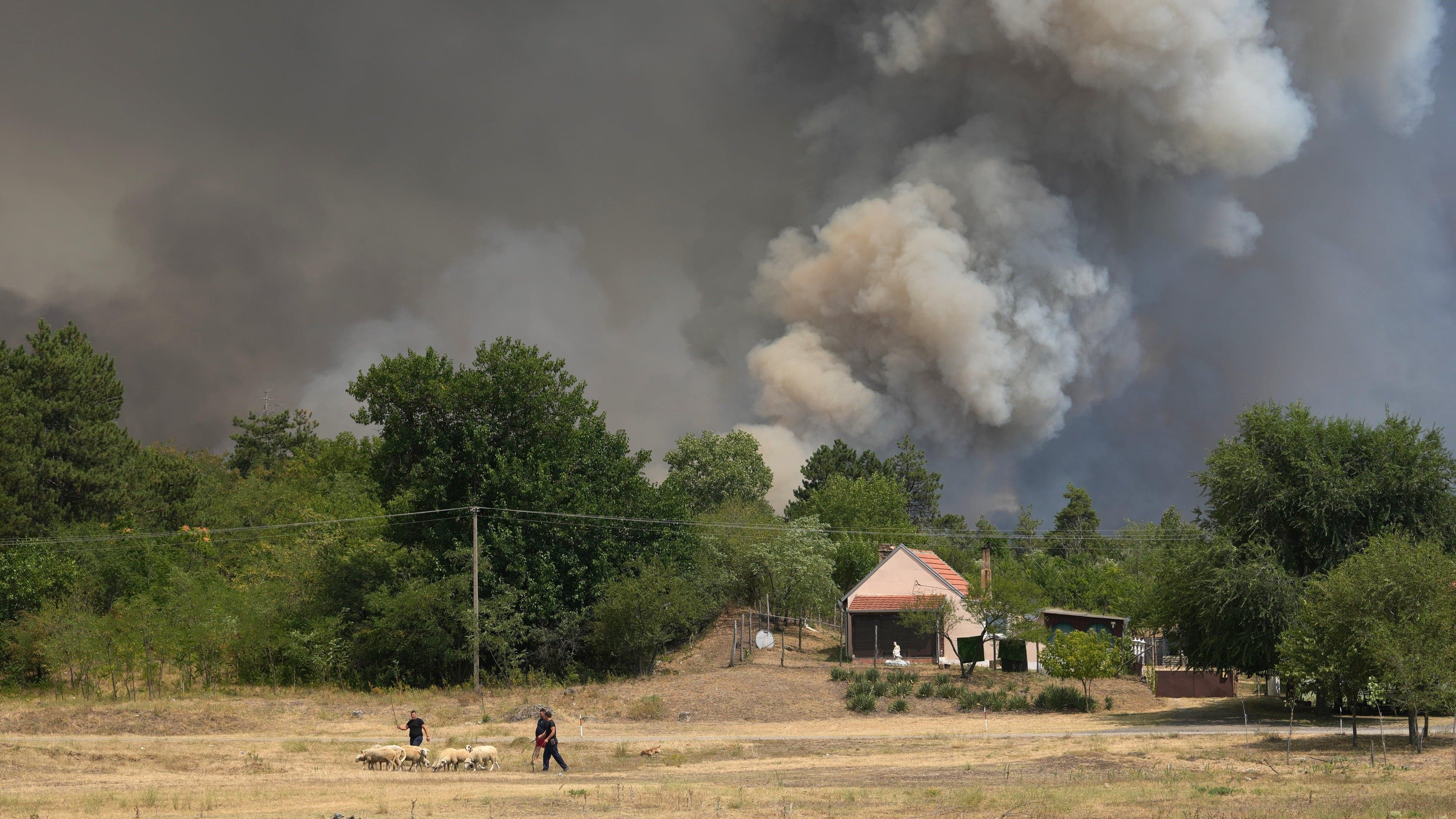 Serbia races to contain wildfires as Europe’s blistering heatwave grips Balkans