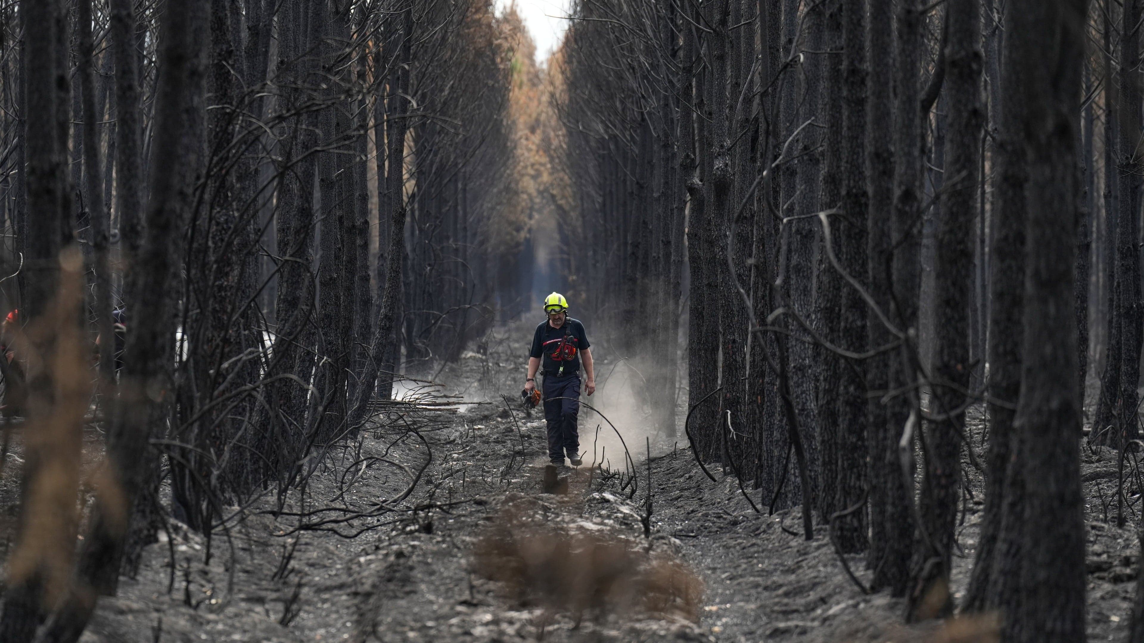 Wildfire near Bordeaux contained as 1,500 firefighters battle blaze in Provence
