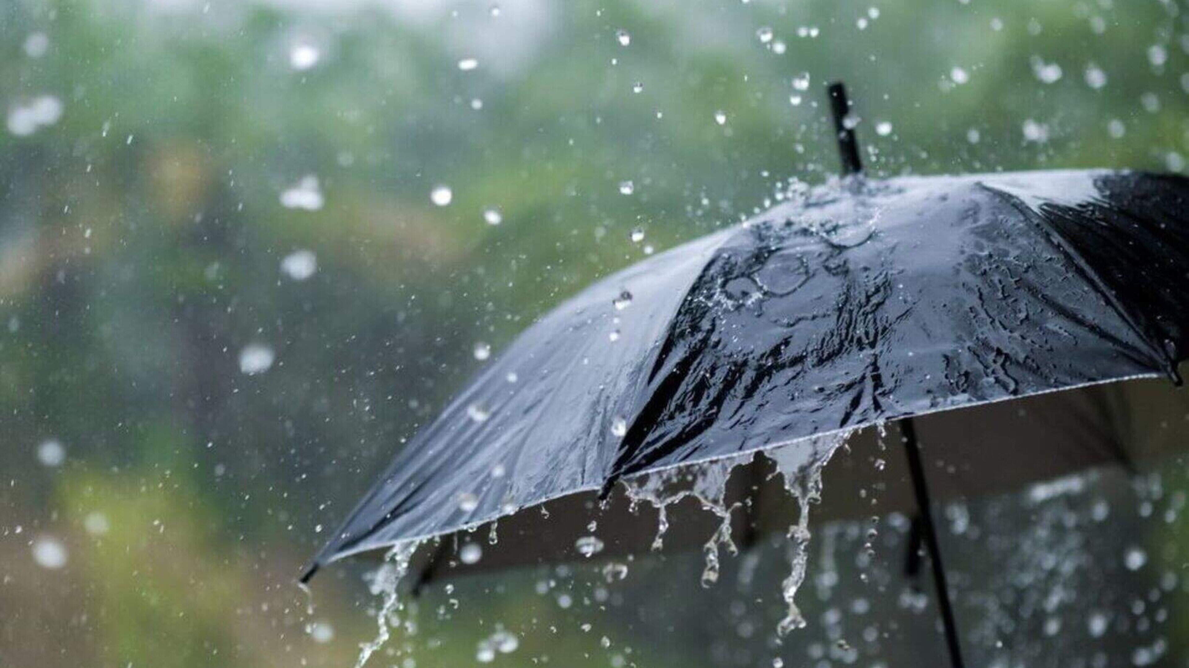 Heavy rain expected amid wet and breezy first days of September - Met Éireann