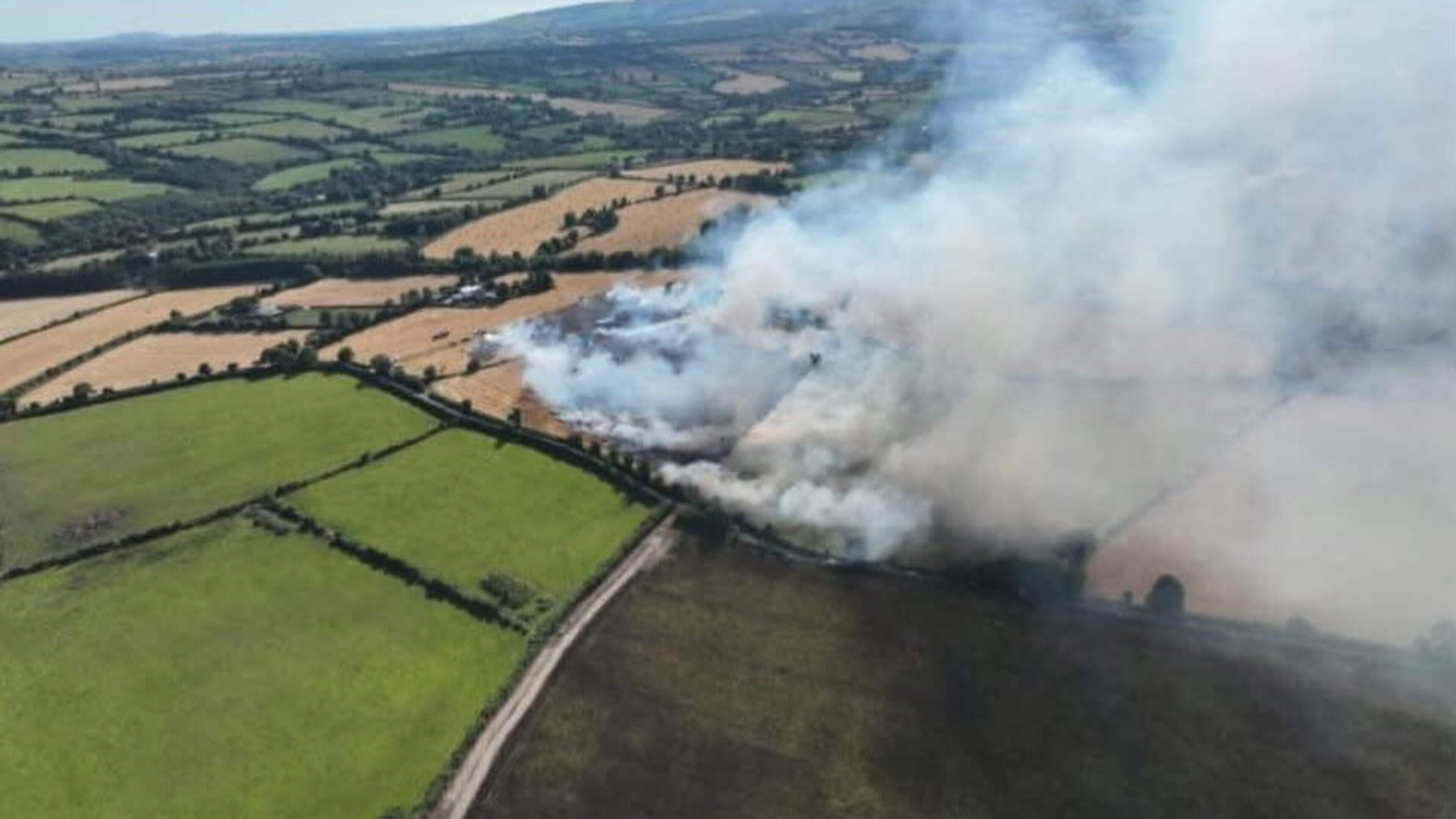Wexford family hails community effort in farmland blaze — ‘The speed at which everyone arrived was incredible’