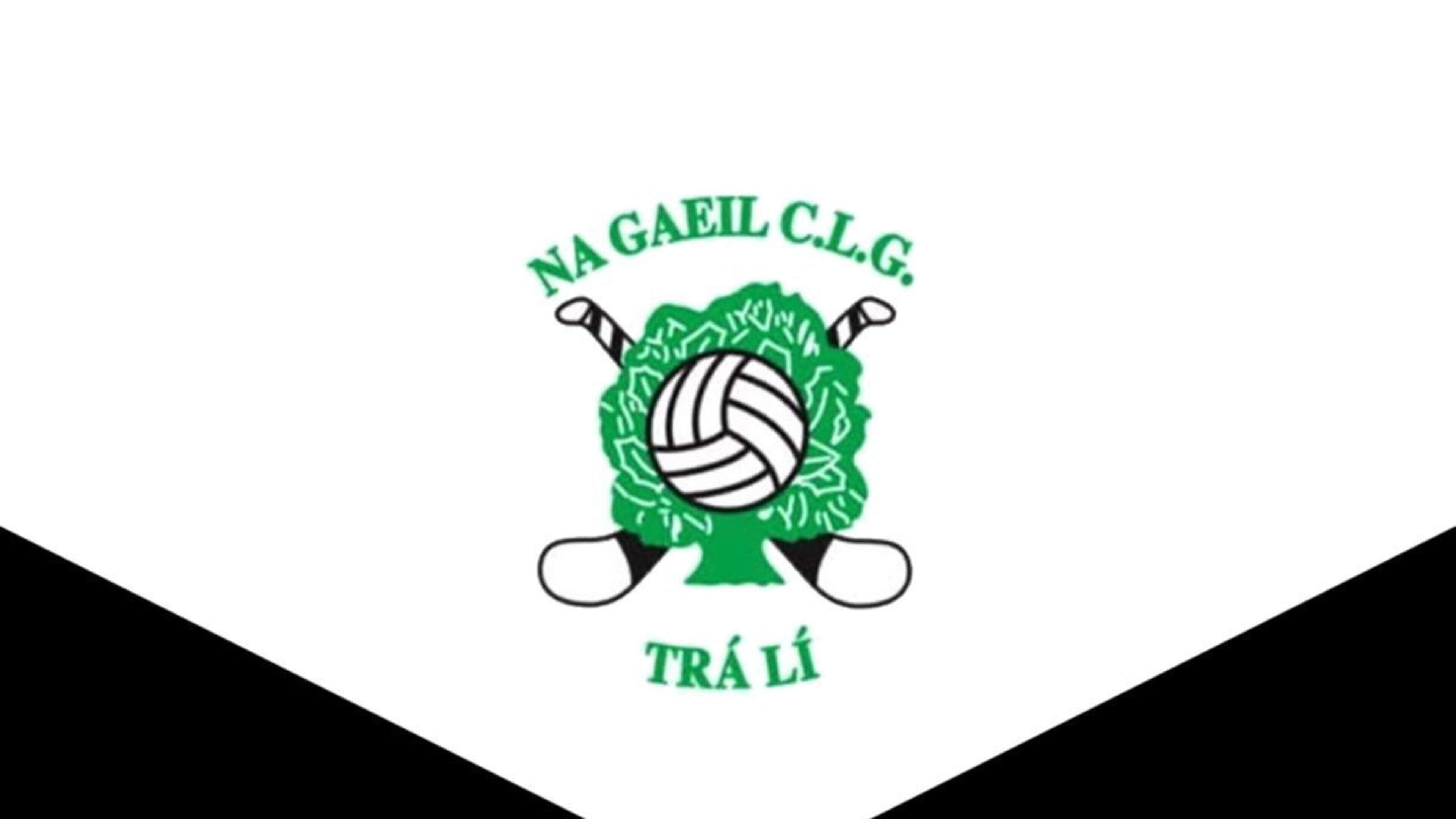 Popular Na Gaeil Mothers & Others group in Tralee returning to action and on the lookout for new members