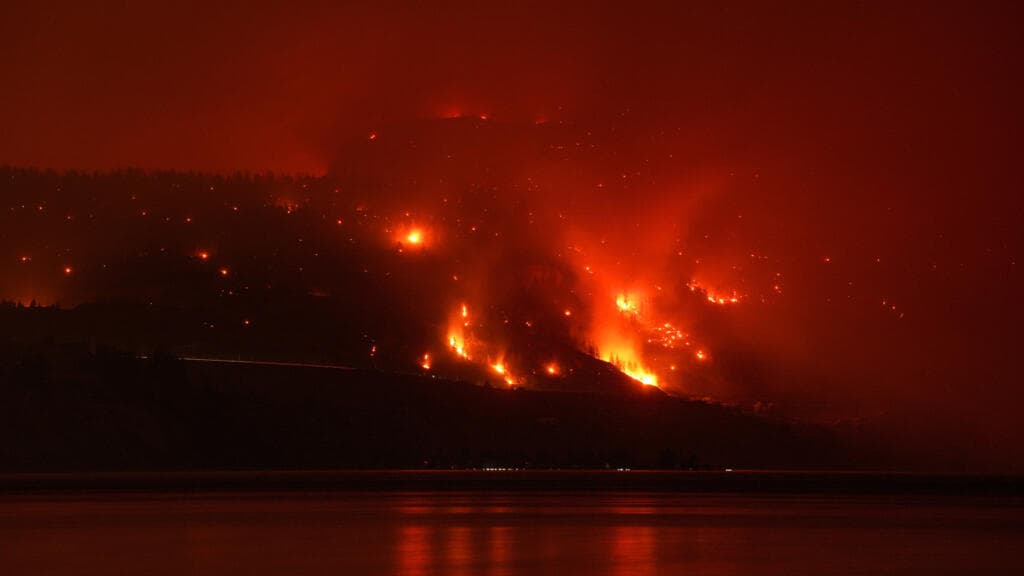 Wildfires: British Columbia declares state of emergency, thousands forced to flee homes