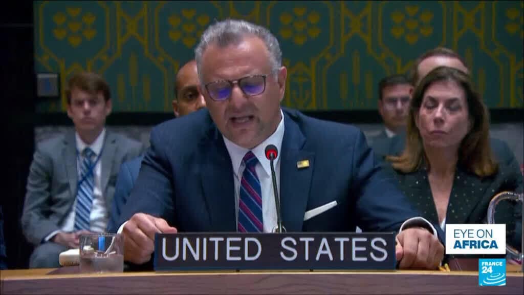 Sudan: UN Security Council and Sudan - Arms Embargo Exposes Gap Between International Will and Action