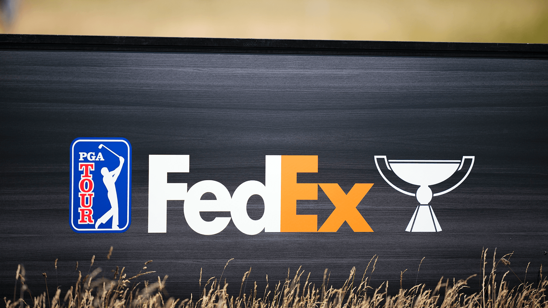 Where to Stream the FedEx St. Jude Championship Online for Free