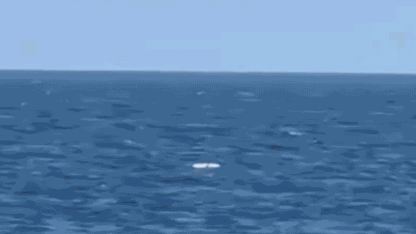 Ukraine Hammers Russian Fleet in Putin Black Sea Stronghold