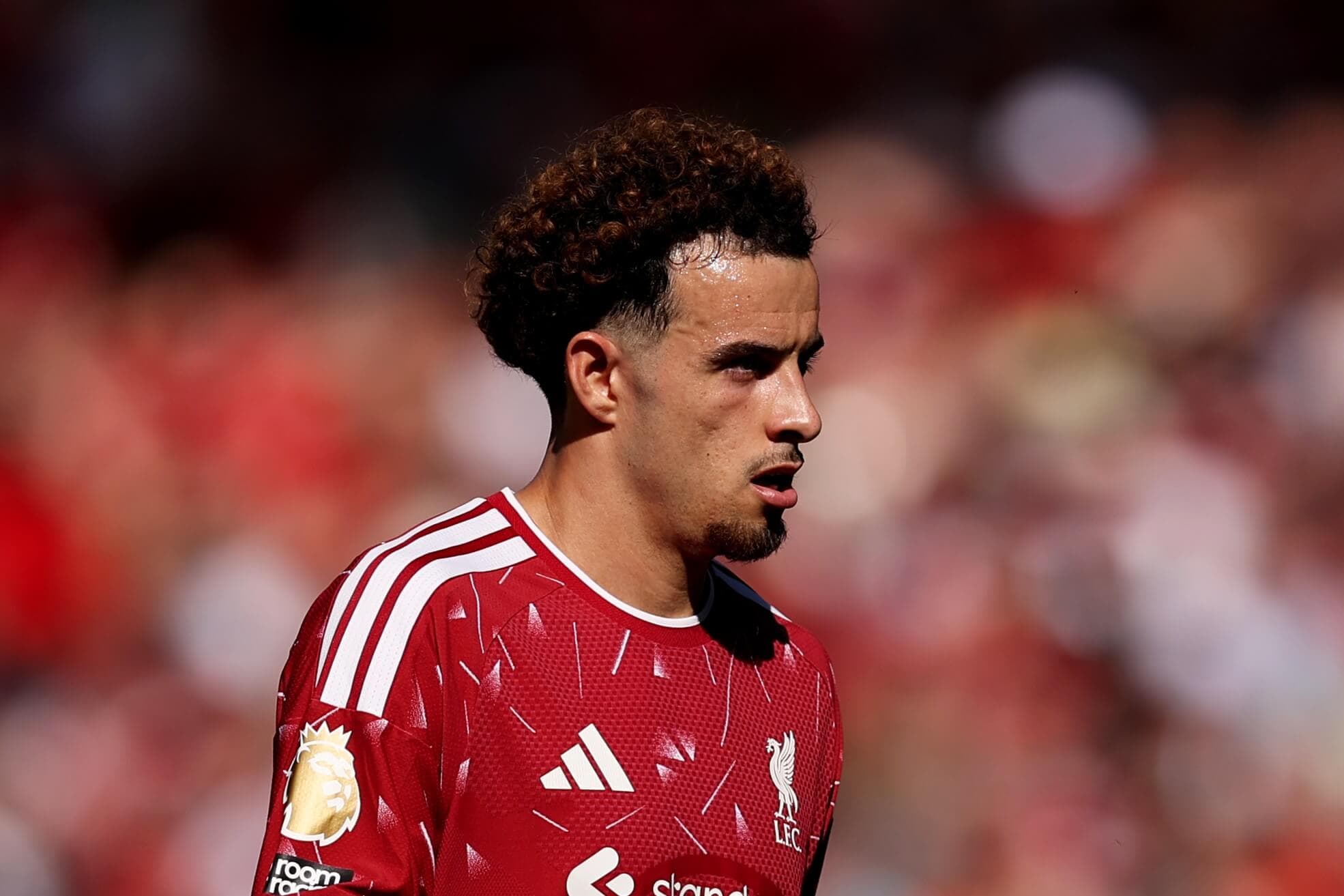 Inter renew pursuit of Liverpool's Curtis Jones, indicate €35m valuation