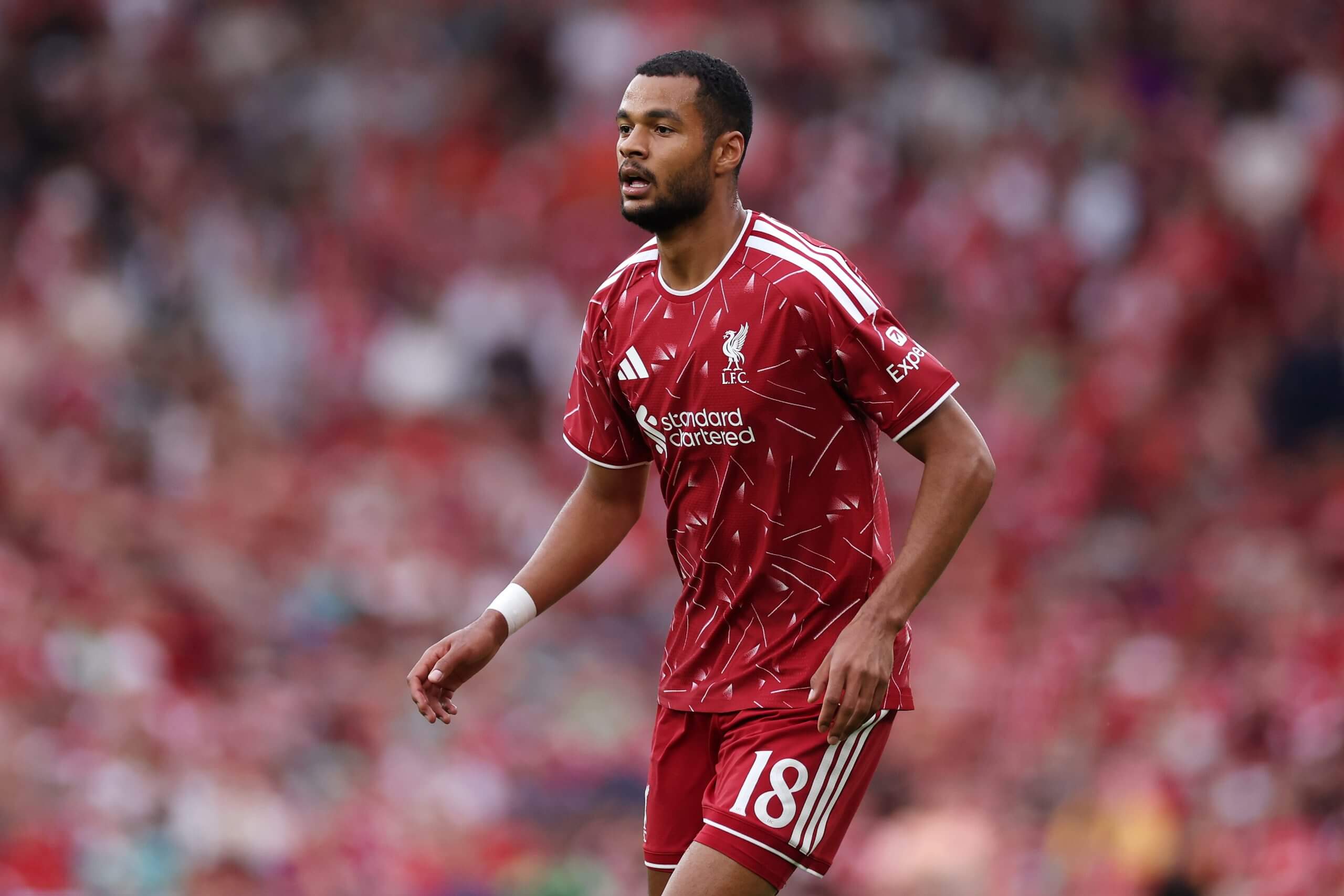 Should Liverpool sell Cody Gakpo?