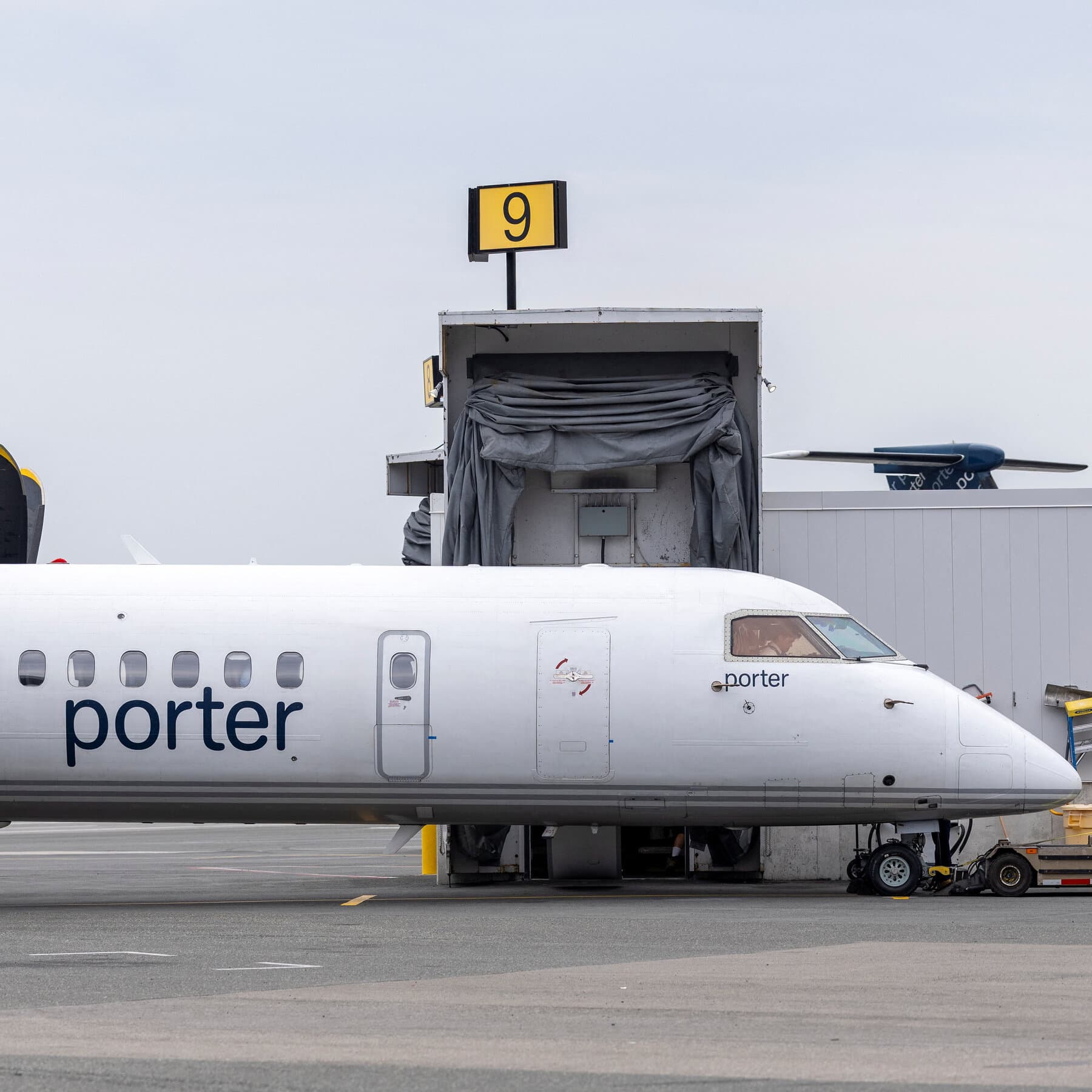 Flight Is Canceled After a Child Refuses to Be Seated