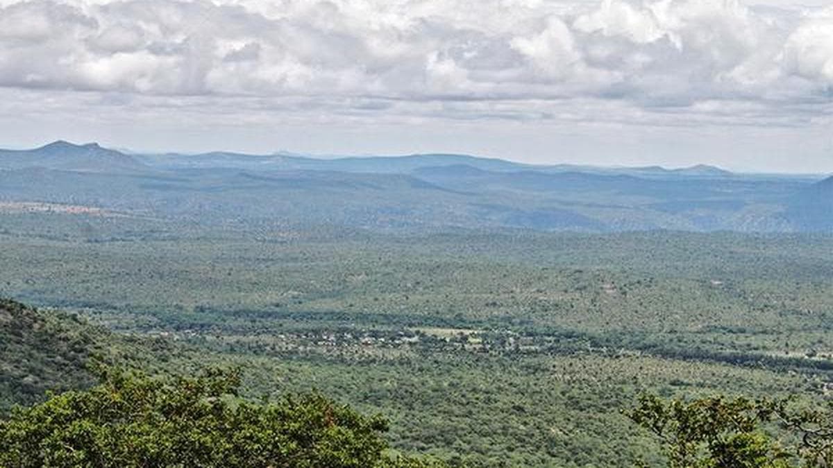 Climate change destabilising Western Ghats’ forest ecosystems in Nilgiri Biosphere Reserve, warn researchers