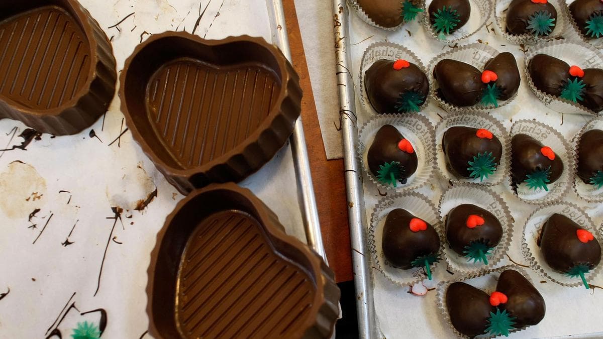 Bengaluru: Cocaine worth ₹58 lakh seized; drug peddler used chocolate boxes and delivery riders