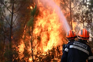 Major incident declared as firefighters battle blaze on Suffolk coastal heath - lbc.co.uk
