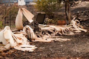 Eastern Washington fires burns 600 structures