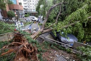 Hundreds more flights are canceled as Tropical Storm Dolphin causes flooding in eastern China