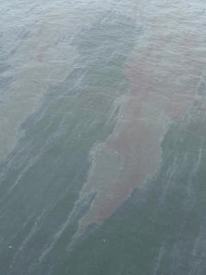 Oman says grounded tanker oil spill covers 400 square km
