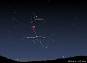 Perseid meteor shower peaks this week: How to catch it in Korea