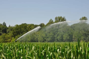 Water board pressing charges against farmers accused of threatening drought inspectors