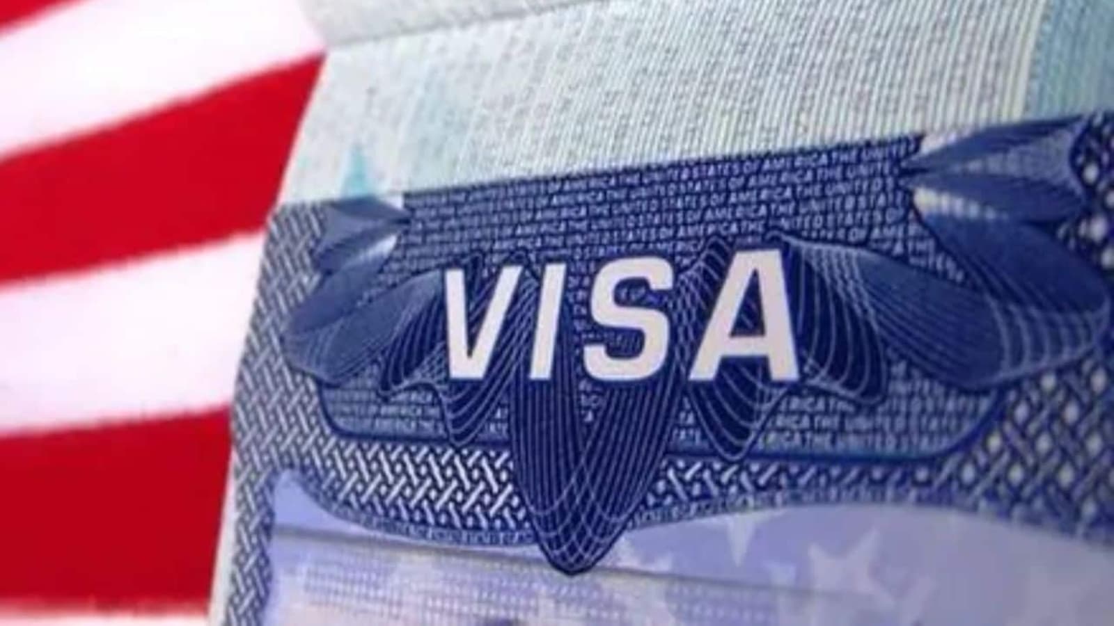 H1B visa alert: US bans four companies from hiring foreign employees; here's why and what Indian applicants need to know