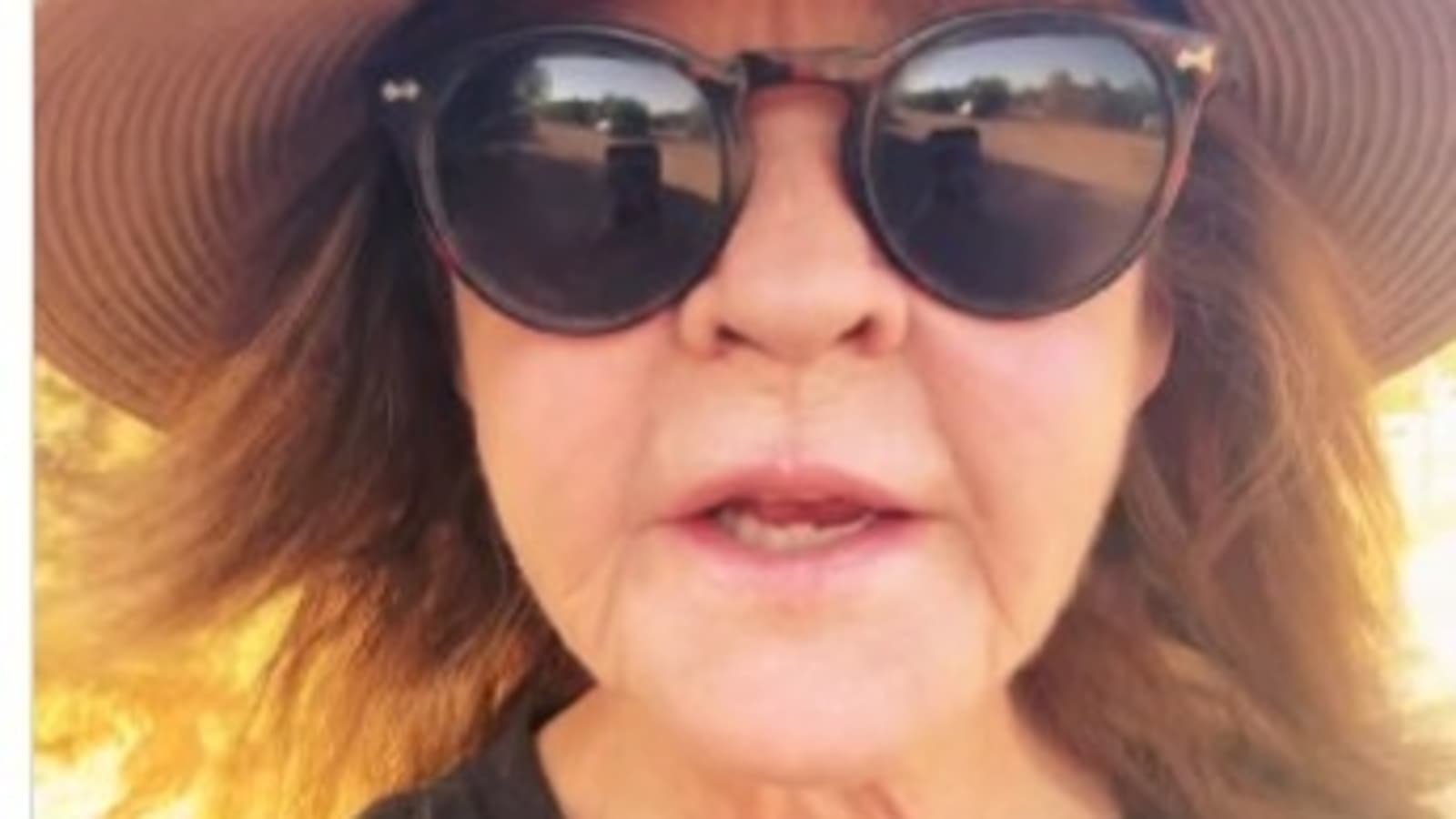 Linda Blair: Why did authorities raid The Exorcist star's house? All we know about investigative warrant