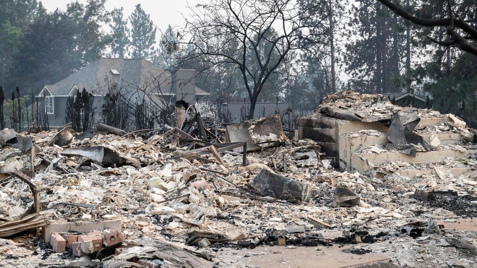Spokane wildfires update: Spencer Pratt issues blunt warning as 60,000 ordered to evacuate, 'Don't expect govt to…'