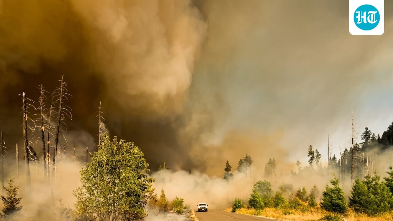 Reno Moose Ridge Fire: Large vegetation fire in Washoe County; latest update as scary visuals emerge from Nevada