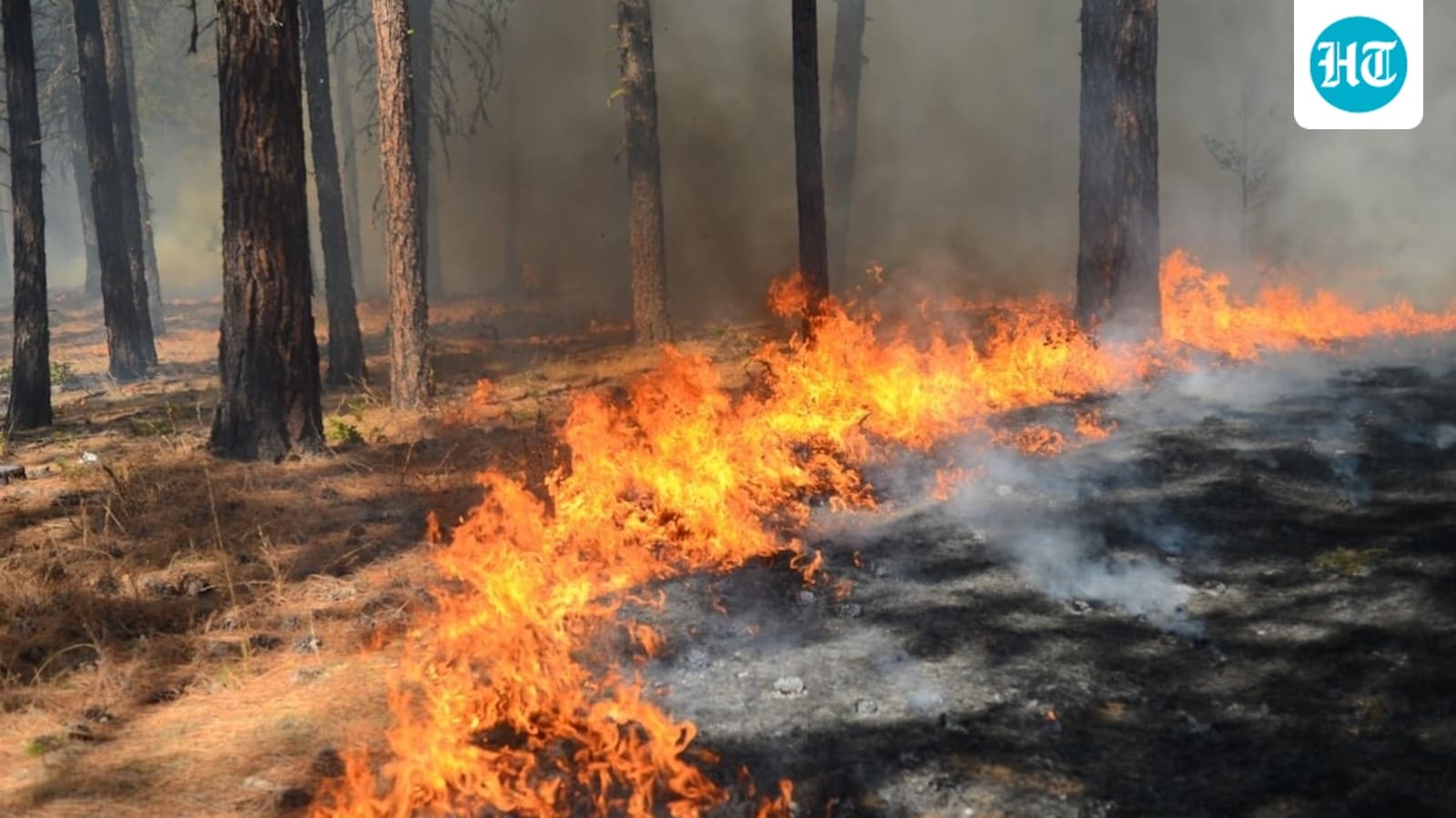 Santa Clarita Tasha Fire update: Huge brush fire in Los Angeles County; check evacuation, map as scary videos emerge