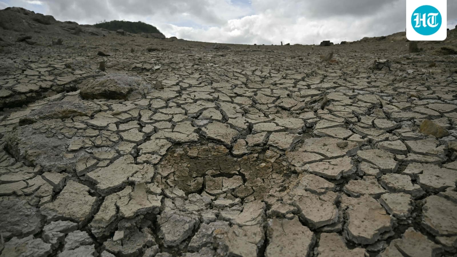 Biggest El Nino in ‘over a century’ to dial up global heat, India braces for double crop hit