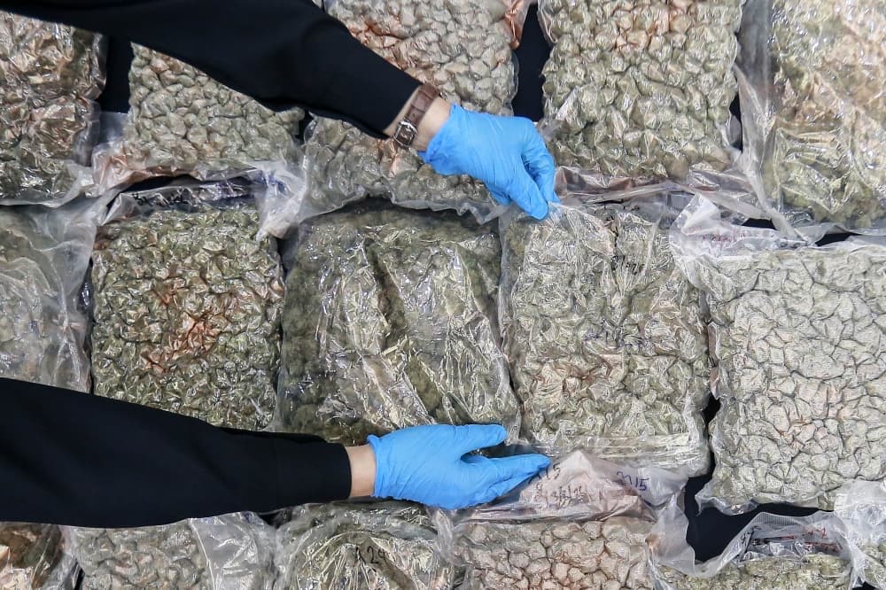 Police bust syndicate storing RM21m worth of ganja near KLIA, Penang airport