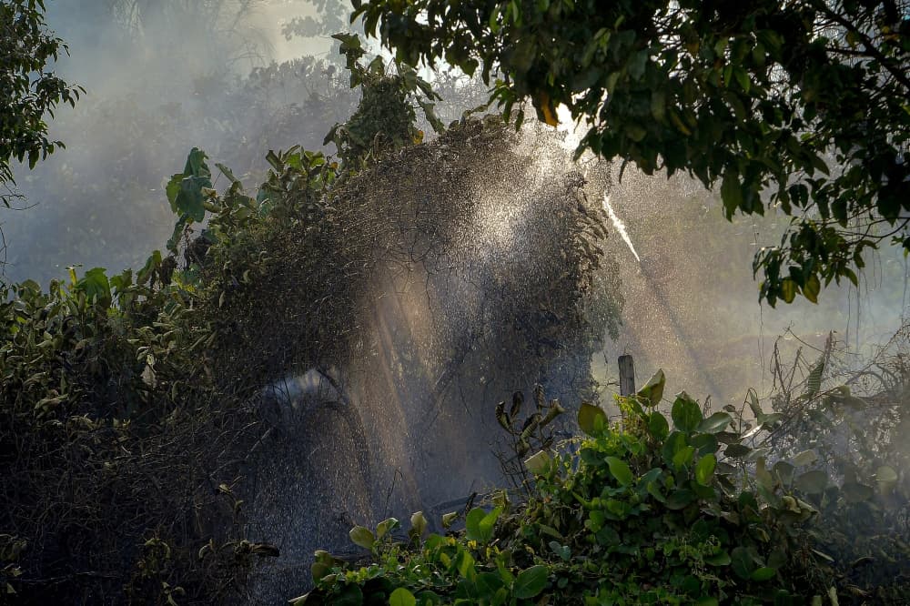Firefighters battle hill forest blaze near Sultan Salahuddin Abdul Aziz Shah mosque