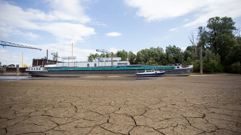 Wildfires, low levels on rivers as Europe feels the heat