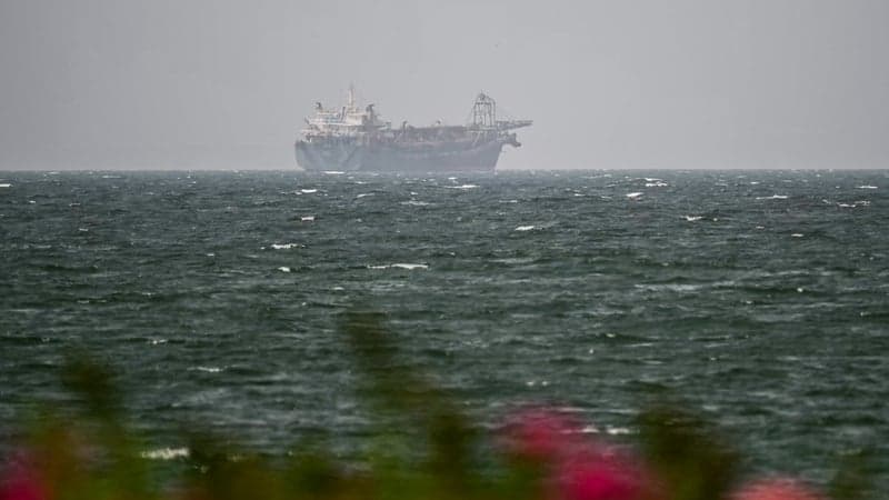 Iran and Oman agree Hormuz route but await US agreement
