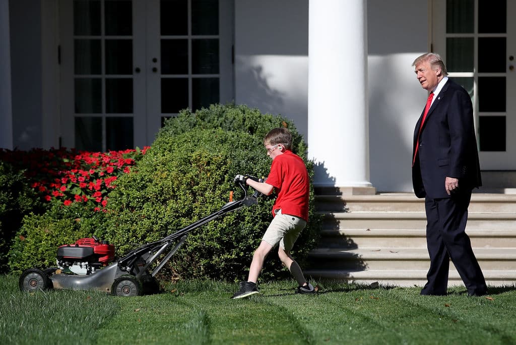 “I’m very good at grass”: Trump assures the U.S. amid his renovation projects