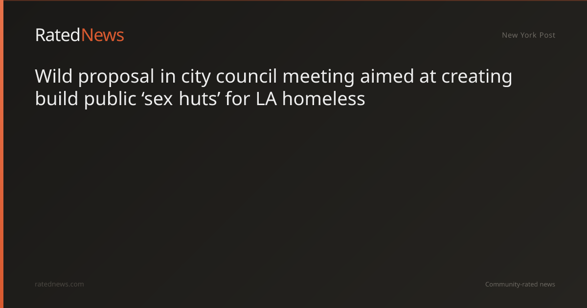 wild-proposal-in-city-council-meeting-aimed-at-creating-build-public